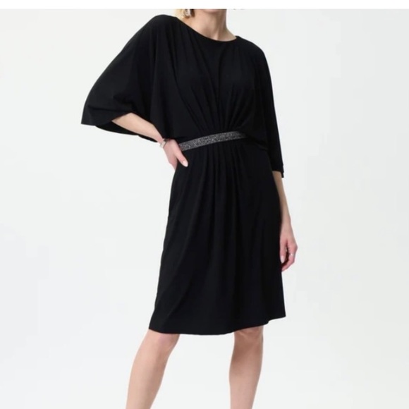 Joseph Ribkoff Dress - Picture 1 of 3